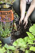 Carbon Gold Biochar All Purpose Compost